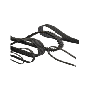 T Belts